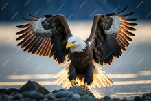 eagletraders.net